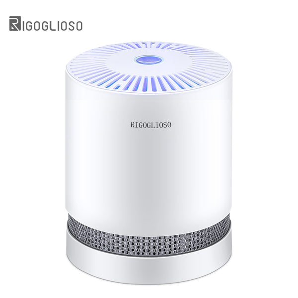 RIGOGLIOSO Air Purifier